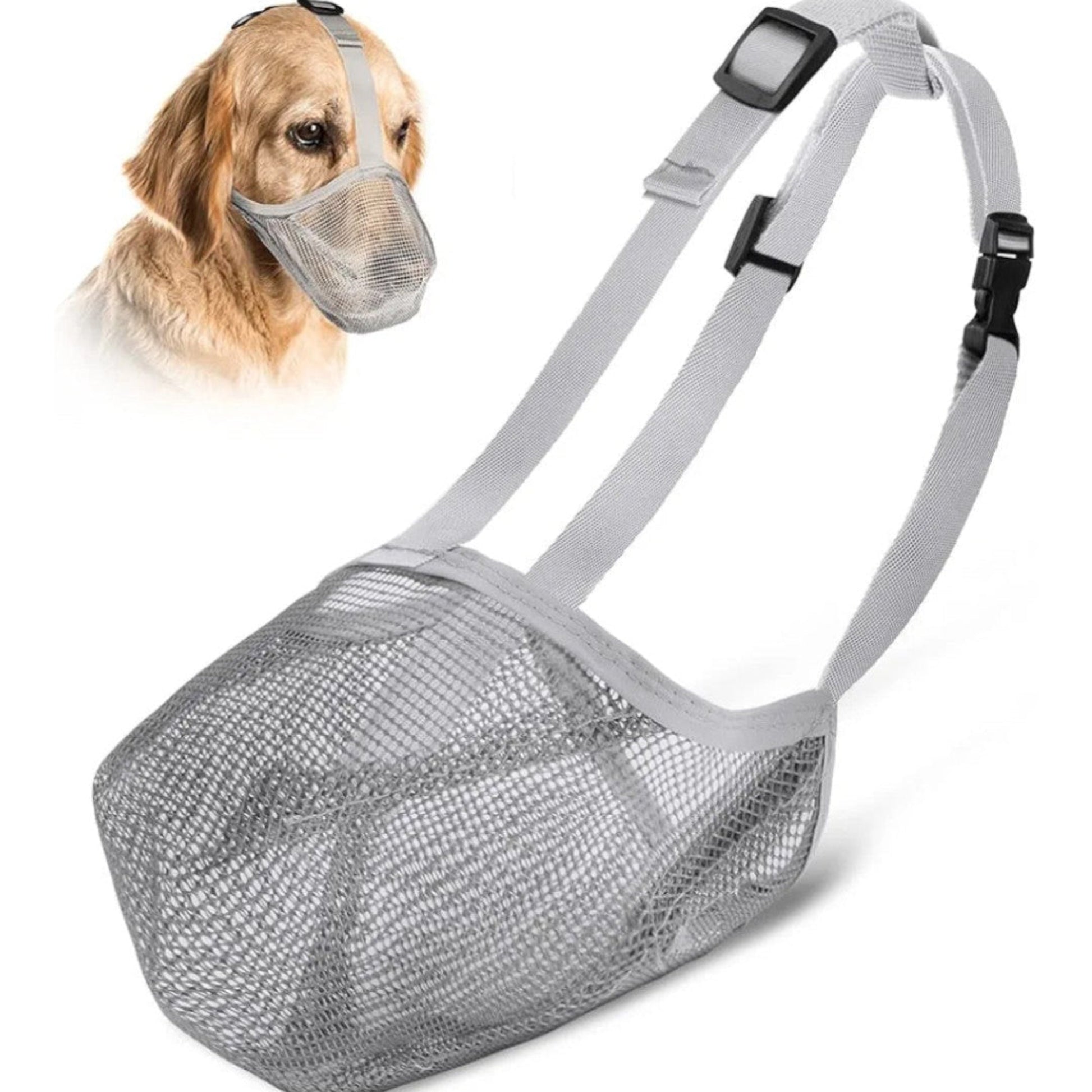 Dog wearing a gray muzzle and mesh bag on a white background