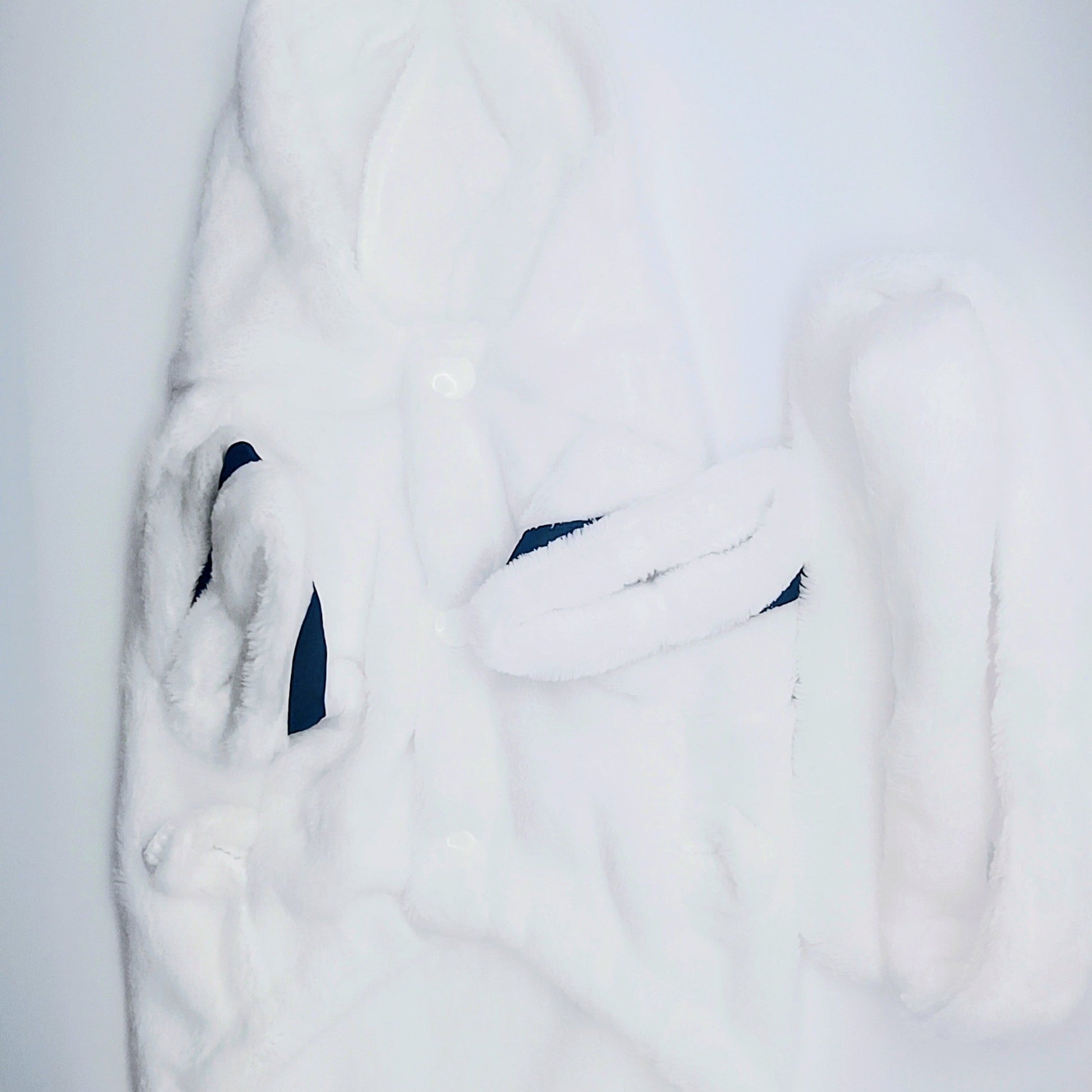 White fur coat with a hood on a white background