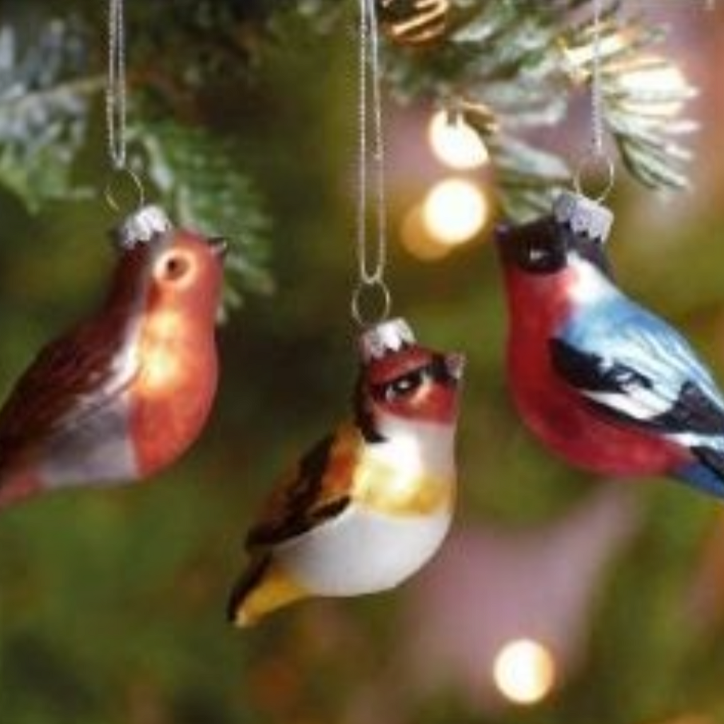 Three colorful bird ornaments hanging on a Christmas tree with blurred lights in the background.
